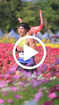 BIB:  <button type="button" onclick="openModal(27588342)" class="btn btn-primary btn-sm float-right" data-toggle="modal" data-target=".modal-high-quality">
                <i class="fa fa-download"></i> Download
                </button>